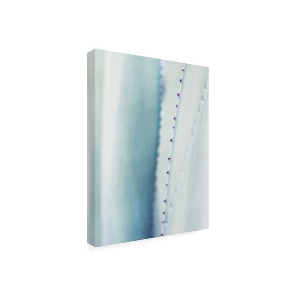 Lupen Grainne 'Pale Blue Agave No. 2' Canvas Art,24x32